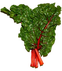 Beta vulgaris var. cycla 'Rhubarb Chard'