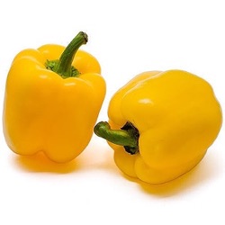 Capsicum annuum 'Golden California Wonder'