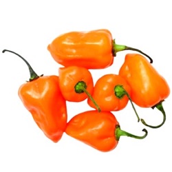 Capsicum chinense 'Jamaican Arancio'