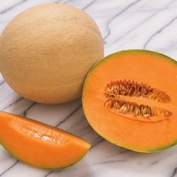 Cucumis melo 'Sarah's Choice'