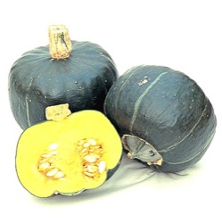 Cucurbita maxima 'Buttercup' (Kabocha-type)