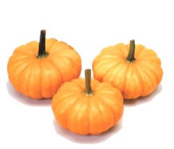 Cucurbita pepo 'Mandarin'