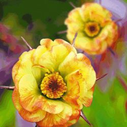 Geum 'Cocktail™ Tequila Sunrise' ®