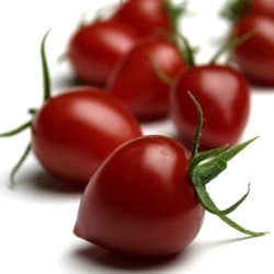 Lycopersicon lycopersicum 'Gardenberry'