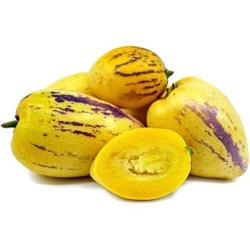 Solanum muricatum